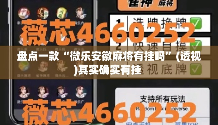 辅助神器“掌心麻将圈开挂神器”详细分享装挂步骤教程