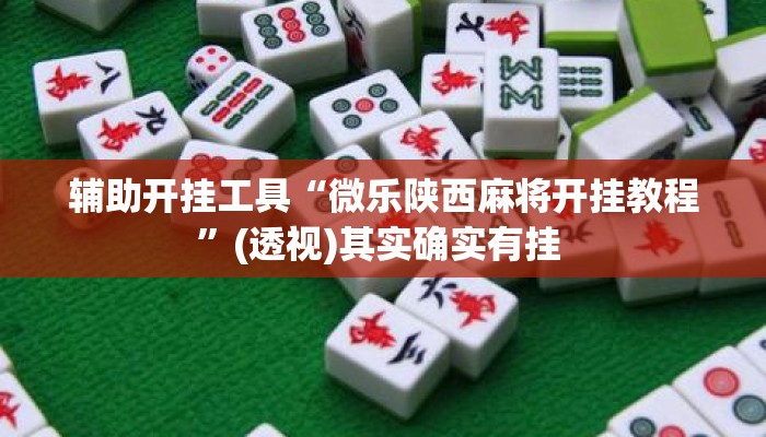 辅助开挂工具“微乐陕西麻将开挂教程	”(透视)其实确实有挂 