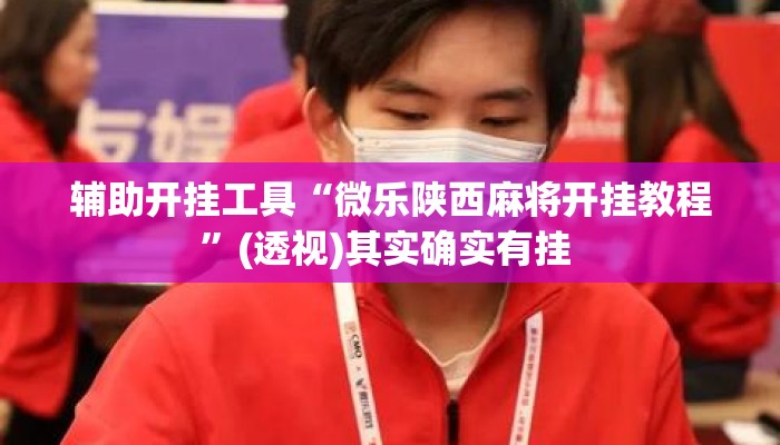 辅助开挂工具“微乐陕西麻将开挂教程	”(透视)其实确实有挂 