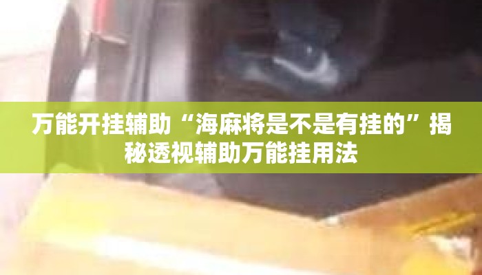 万能开挂辅助“海麻将是不是有挂的”揭秘透视辅助万能挂用法