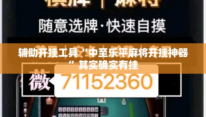 辅助开挂工具“中至乐平麻将开挂神器	”其实确实有挂