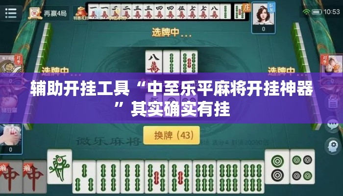 辅助开挂工具“中至乐平麻将开挂神器”其实确实有挂