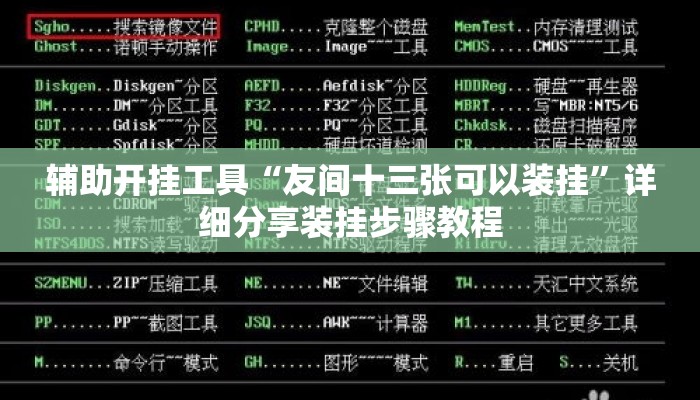 辅助开挂工具“友间十三张可以装挂”详细分享装挂步骤教程