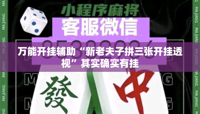 万能开挂辅助“新老夫子拼三张开挂透视	”其实确实有挂