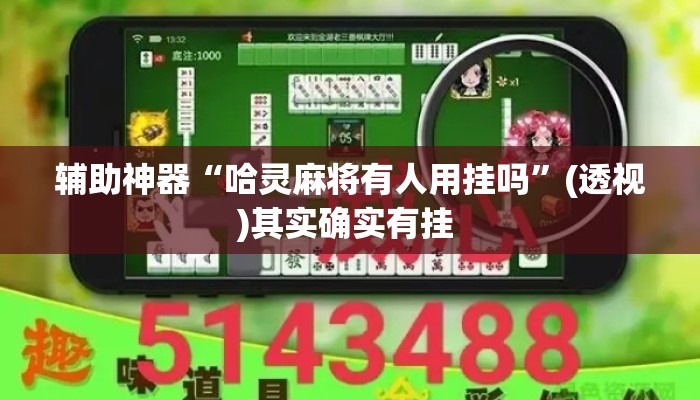 辅助神器“哈灵麻将有人用挂吗”(透视)其实确实有挂 
