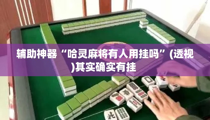 辅助神器“哈灵麻将有人用挂吗”(透视)其实确实有挂 