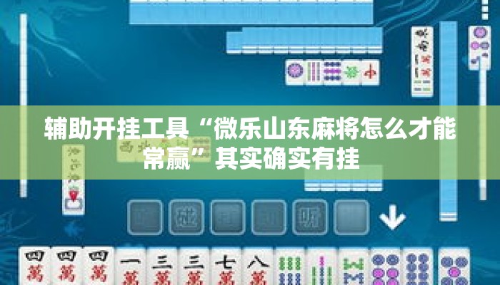 辅助开挂工具“微乐山东麻将怎么才能常赢”其实确实有挂