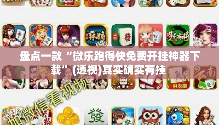 盘点一款“微乐跑得快免费开挂神器下载”(透视)其实确实有挂 