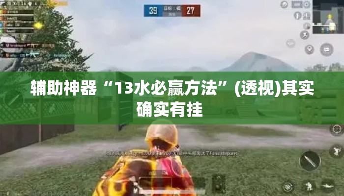 辅助神器“13水必赢方法	”(透视)其实确实有挂 