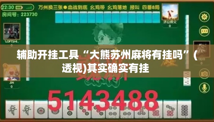 辅助开挂工具“大熊苏州麻将有挂吗”(透视)其实确实有挂 