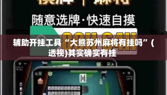 辅助开挂工具“大熊苏州麻将有挂吗”(透视)其实确实有挂 