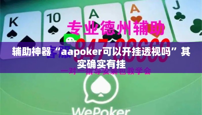 辅助神器“aapoker可以开挂透视吗	”其实确实有挂