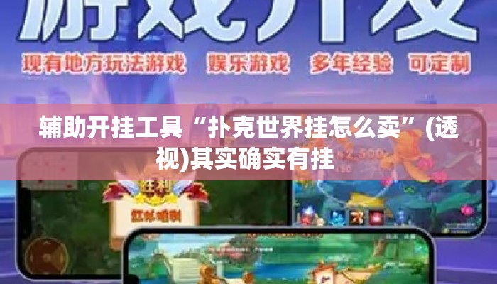 辅助开挂工具“扑克世界挂怎么卖”(透视)其实确实有挂 