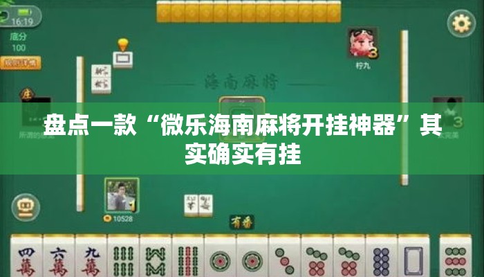 盘点一款“微乐海南麻将开挂神器”其实确实有挂