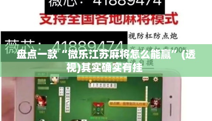 盘点一款“微乐江苏麻将怎么能赢”(透视)其实确实有挂 