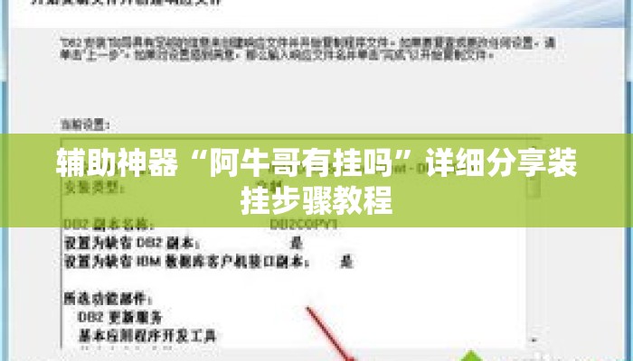 辅助神器“阿牛哥有挂吗	”详细分享装挂步骤教程