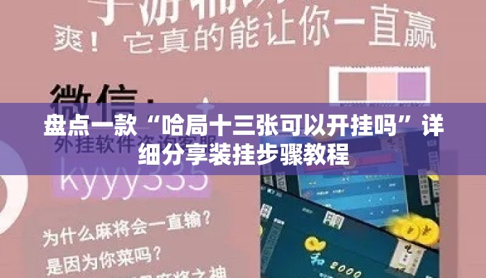 盘点一款“哈局十三张可以开挂吗”详细分享装挂步骤教程
