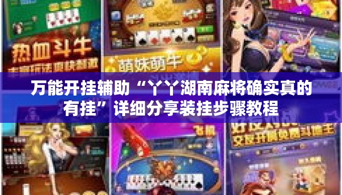 万能开挂辅助“丫丫湖南麻将确实真的有挂”详细分享装挂步骤教程