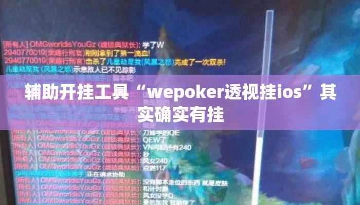 辅助开挂工具“wepoker透视挂ios	”其实确实有挂