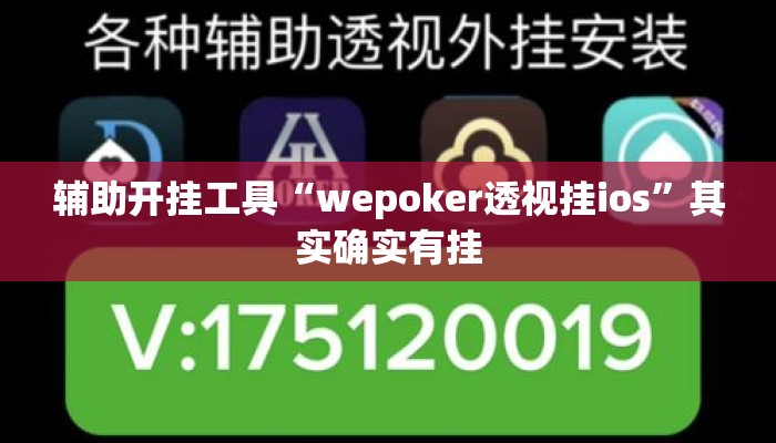 辅助开挂工具“wepoker透视挂ios”其实确实有挂