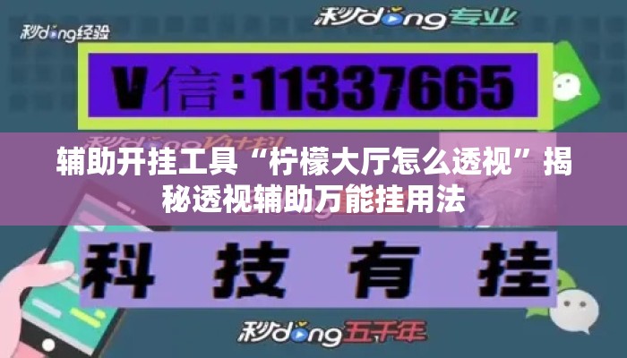 辅助开挂工具“柠檬大厅怎么透视”揭秘透视辅助万能挂用法