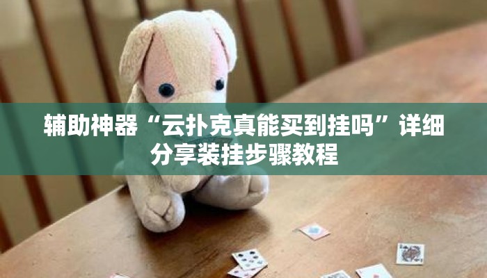 辅助神器“云扑克真能买到挂吗”详细分享装挂步骤教程