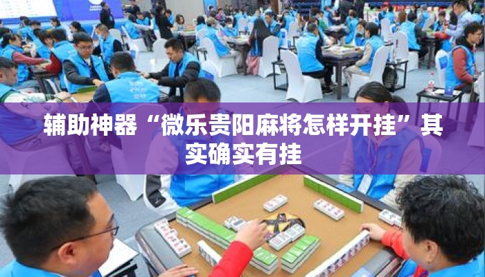 辅助神器“微乐贵阳麻将怎样开挂	”其实确实有挂