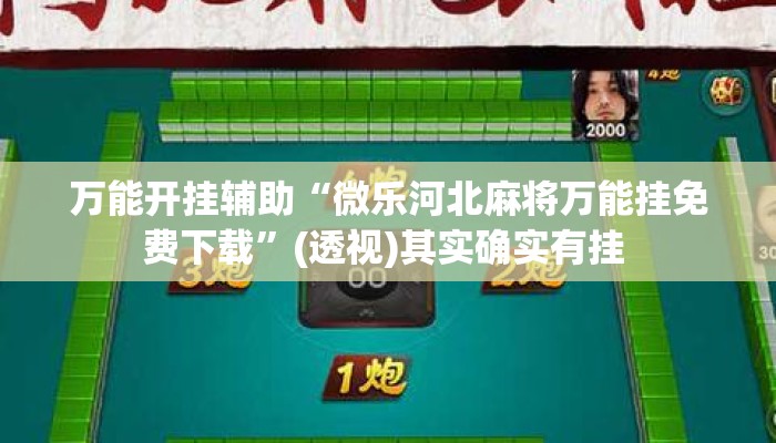 万能开挂辅助“微乐河北麻将万能挂免费下载”(透视)其实确实有挂 