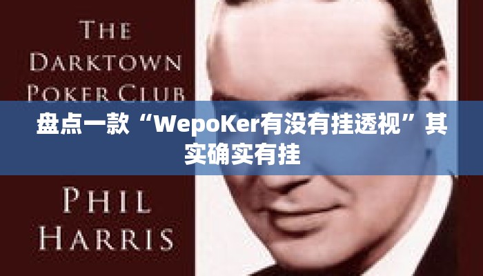 盘点一款“WepoKer有没有挂透视”其实确实有挂