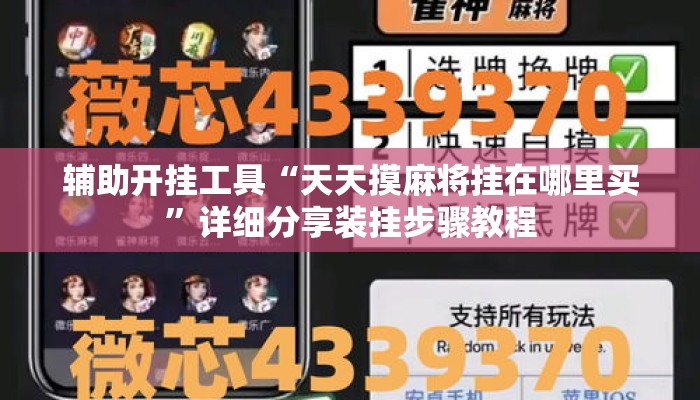 辅助开挂工具“天天摸麻将挂在哪里买	”详细分享装挂步骤教程