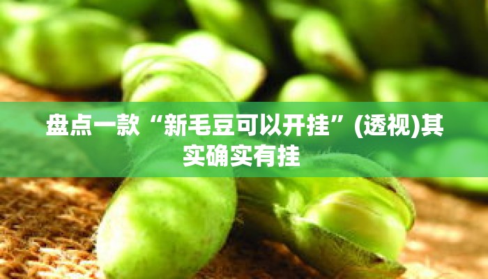 盘点一款“新毛豆可以开挂”(透视)其实确实有挂 
