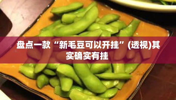 盘点一款“新毛豆可以开挂	”(透视)其实确实有挂 