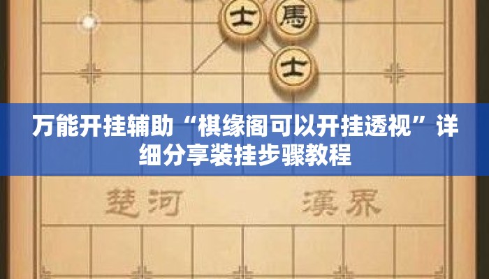 万能开挂辅助“棋缘阁可以开挂透视”详细分享装挂步骤教程