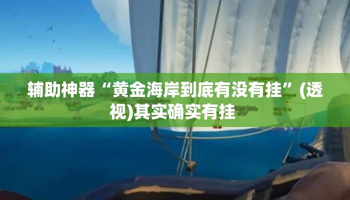 辅助神器“黄金海岸到底有没有挂	”(透视)其实确实有挂 