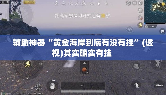 辅助神器“黄金海岸到底有没有挂”(透视)其实确实有挂 