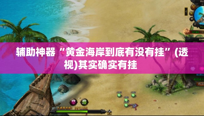 辅助神器“黄金海岸到底有没有挂	”(透视)其实确实有挂 