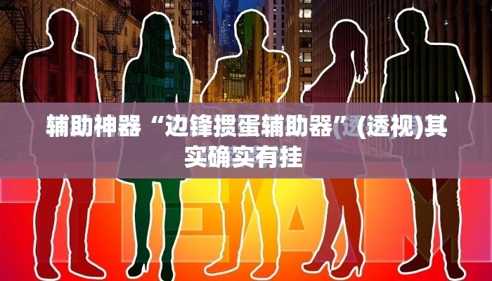 辅助神器“边锋掼蛋辅助器”(透视)其实确实有挂 