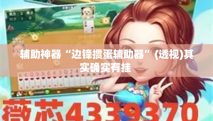 辅助神器“边锋掼蛋辅助器”(透视)其实确实有挂 