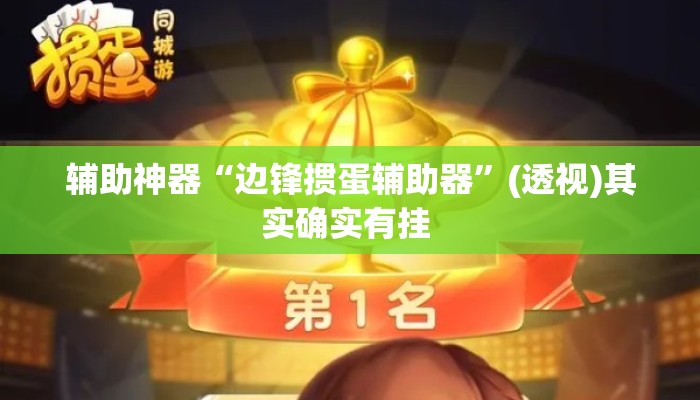 辅助神器“边锋掼蛋辅助器”(透视)其实确实有挂 