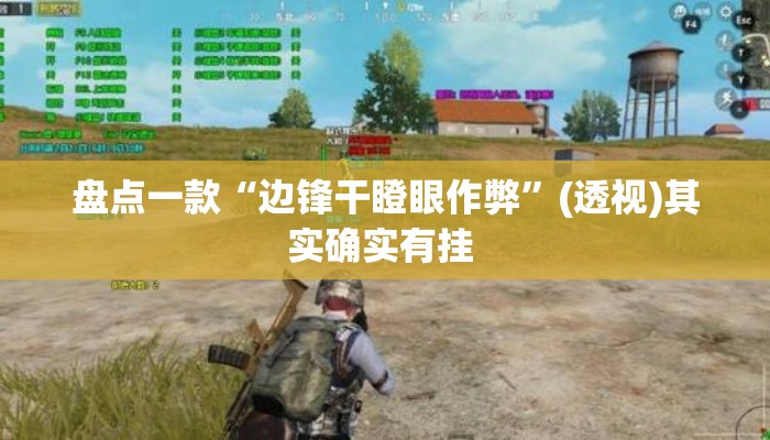 盘点一款“边锋干瞪眼作弊”(透视)其实确实有挂 