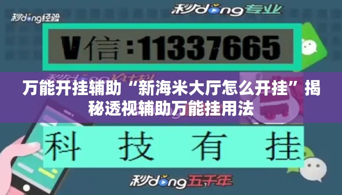 万能开挂辅助“新海米大厅怎么开挂”揭秘透视辅助万能挂用法