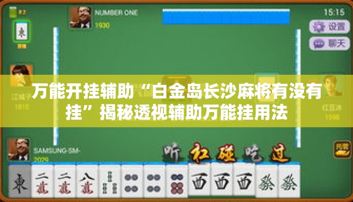 万能开挂辅助“白金岛长沙麻将有没有挂”揭秘透视辅助万能挂用法