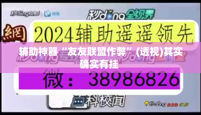 辅助神器“友友联盟作弊”(透视)其实确实有挂 