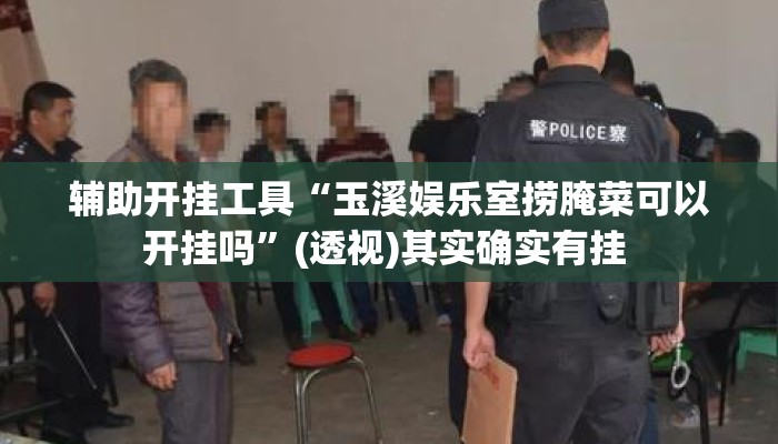 辅助开挂工具“玉溪娱乐室捞腌菜可以开挂吗”(透视)其实确实有挂 