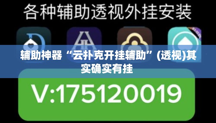 辅助神器“云扑克开挂辅助”(透视)其实确实有挂 