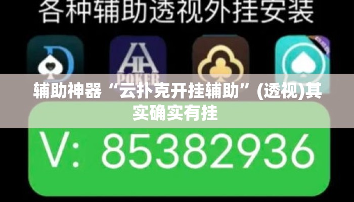 辅助神器“云扑克开挂辅助”(透视)其实确实有挂 