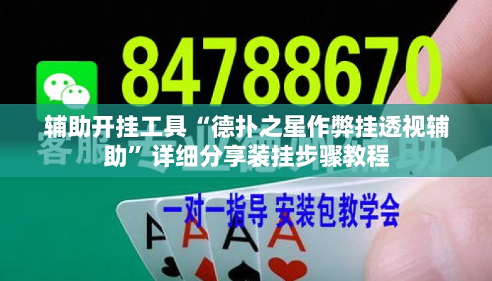 辅助开挂工具“德扑之星作弊挂透视辅助	”详细分享装挂步骤教程