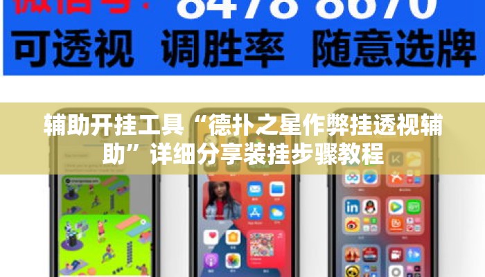 辅助开挂工具“德扑之星作弊挂透视辅助”详细分享装挂步骤教程