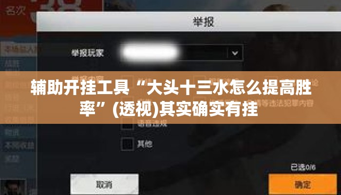 辅助开挂工具“大头十三水怎么提高胜率”(透视)其实确实有挂 