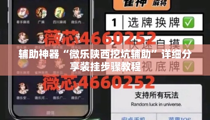 辅助神器“微乐陕西挖坑辅助	”详细分享装挂步骤教程